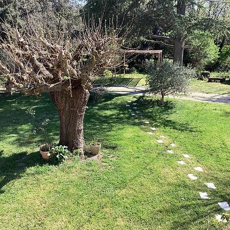 Villa Au Mas Des Chenes à La Baume-de-Transit Extérieur photo