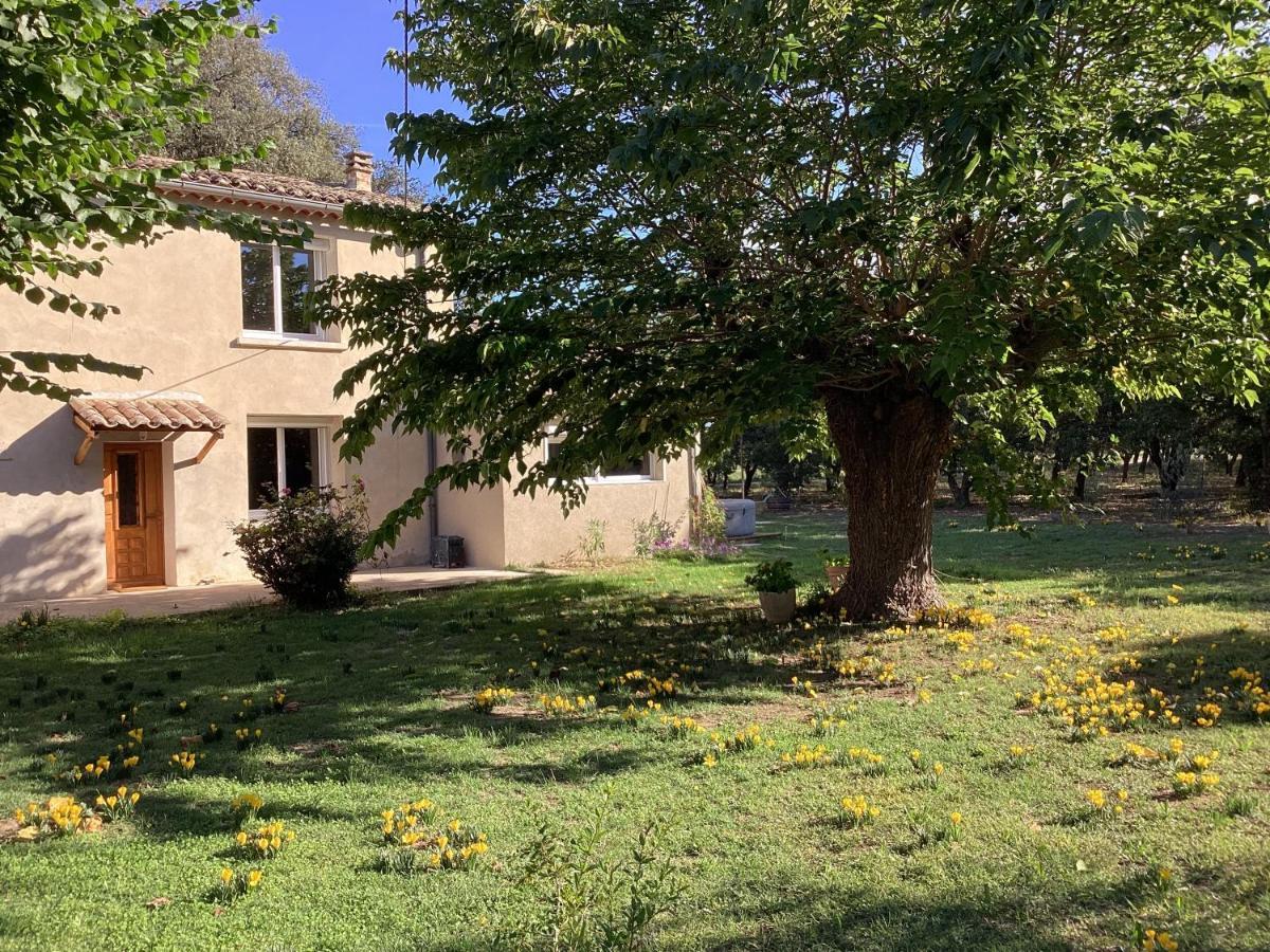 Villa Au Mas Des Chenes à La Baume-de-Transit Extérieur photo
