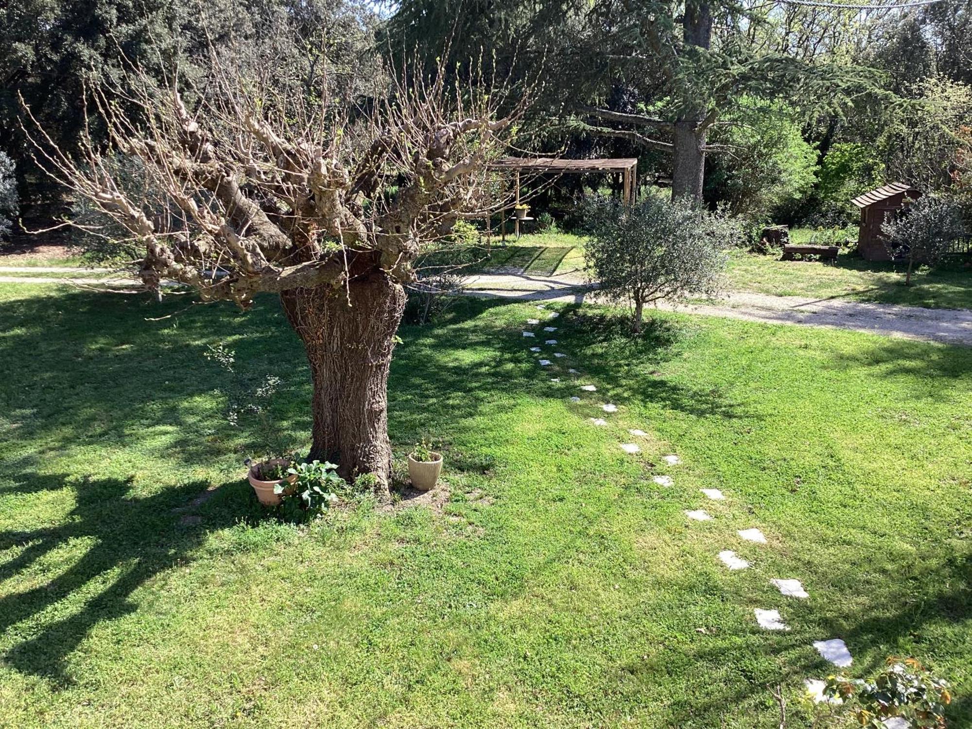 Villa Au Mas Des Chenes à La Baume-de-Transit Extérieur photo
